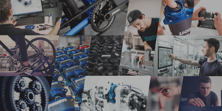 Pinion
