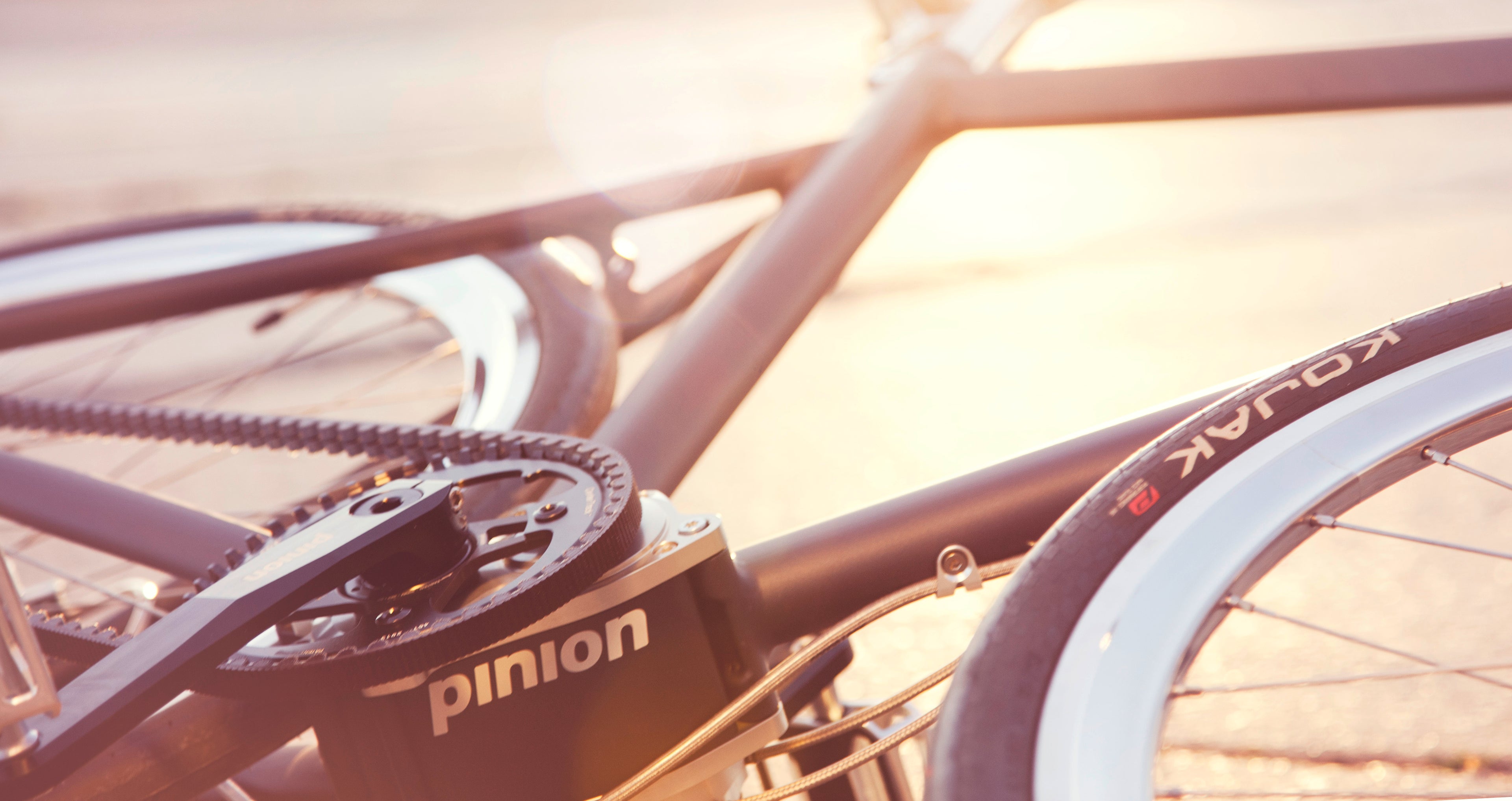 A sunset photo of a Pinion and Carbon Drive equipped city bike.