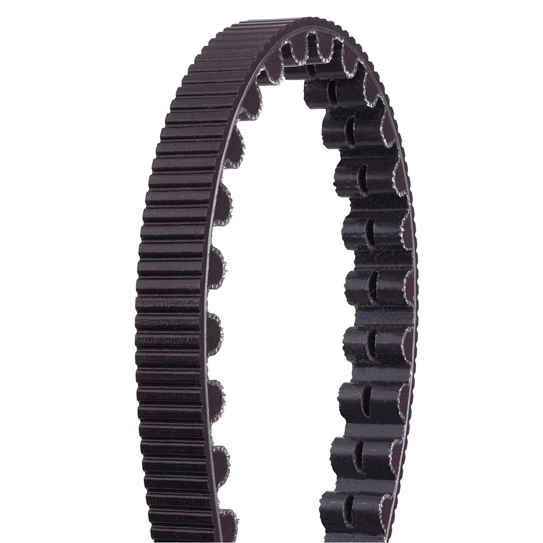 Carbon Drive CDX Belt